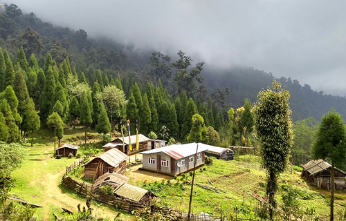 singalila1